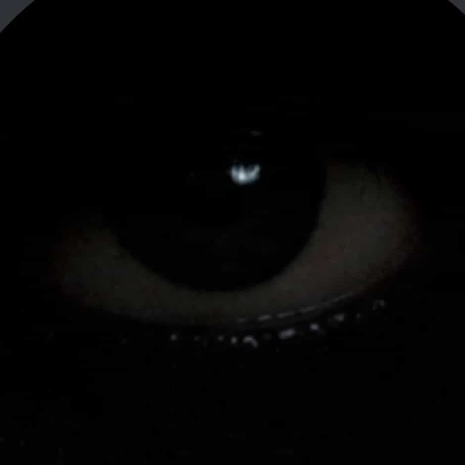 Derek Trap em Curitiba 41 Brooklyn Bar sexta-feira, 8 de maio de 2026 às 20h