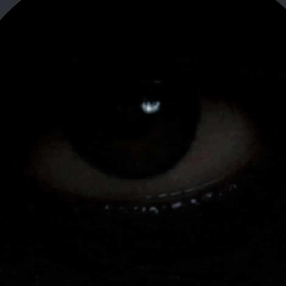 Derek faz show em Curitiba/PR no 41 Brooklyn Bar no dia sexta-feira, 8 de maio de 2026, às 20:00.
O evento será do estilo Trap e promete reunir fãs para uma noite especial de música ao vivo.
O show acontece no 41 Brooklyn Bar, um espaço conhecido por receber eventos na cidade de Curitiba.
Endereço: R. Alferes Poli, 821 - Centro, Curitiba - PR, 80220-050, Brasil.
Consulte informações e ingressos nos canais oficiais do evento.
Instagram do local: https://www.instagram.com/41bklyn/. Instagram do artista: https://www.instagram.com/derekluccas/.
O show de Derek promete atrair fãs na cidade de Curitiba.
Perguntas frequentes sobre o evento:
Pergunta: Quando acontece o show de Derek em Curitiba?
Resposta: O show acontece sexta-feira, 8 de maio de 2026 às 20:00.
Pergunta: Onde acontece o evento?
Resposta: O evento acontece no 41 Brooklyn Bar em Curitiba. - Derek Trap em Curitiba 41 Brooklyn Bar sexta-feira, 8 de maio de 2026 às 20h