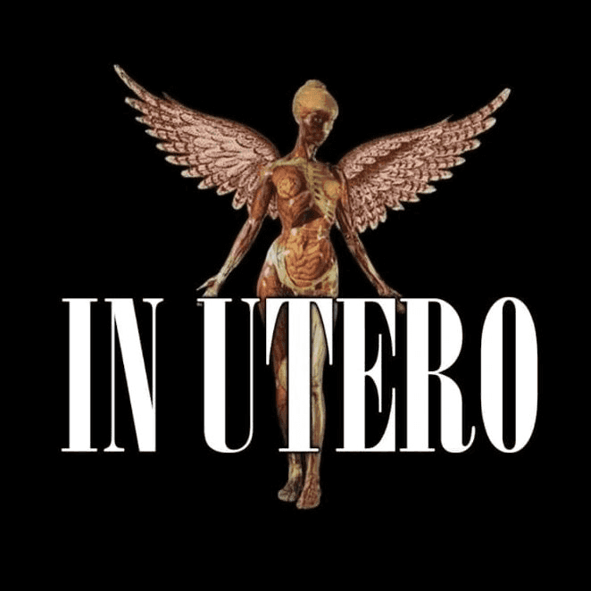 In Utero faz show em Belo Horizonte/MG no Mister Rock no dia sexta-feira, 3 de abril de 2026, às 15:00.
O evento será do estilo Grunge e promete reunir fãs para uma noite especial de música ao vivo.
O show acontece no Mister Rock, um espaço conhecido por receber eventos na cidade de Belo Horizonte.
Endereço: Avenida Tereza Cristina, 295 - Prado.
Consulte informações e ingressos nos canais oficiais do evento.
Instagram do local: https://www.instagram.com/misterrockbar/. Instagram do artista: https://instagram.com/utero.nirvana.
O show de In Utero promete atrair fãs na cidade de Belo Horizonte.
Perguntas frequentes sobre o evento:
Pergunta: Quando acontece o show de In Utero em Belo Horizonte?
Resposta: O show acontece sexta-feira, 3 de abril de 2026 às 15:00.
Pergunta: Onde acontece o evento?
Resposta: O evento acontece no Mister Rock em Belo Horizonte. - In Utero em Mister Grunge: 31 anos sem Kurt Cobain — Mister Rock, Belo Horizonte, sexta-feira 3 de abril de 2026 às 15h