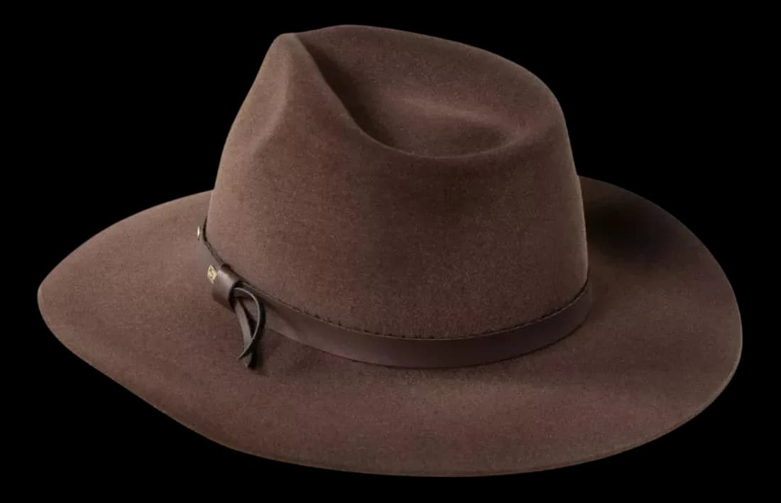 Chapéu Bruno e Marrone Festa Do Peão Estilo Cores Cor Pinus Tamanho G